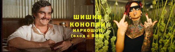 винт Армянск