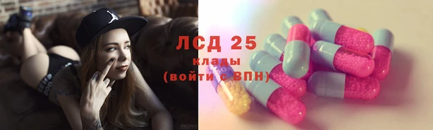 винт Армянск