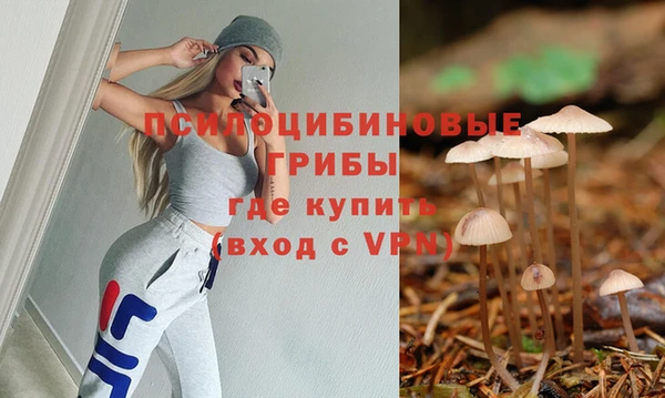 винт Армянск