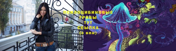PSILOCYBIN Аркадак