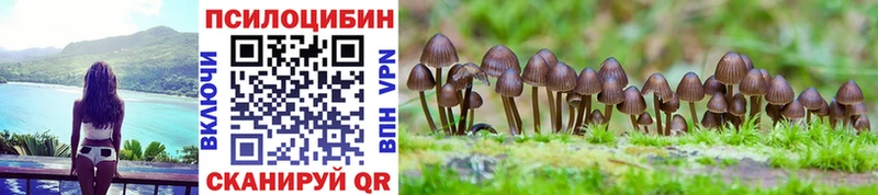 Псилоцибиновые грибы Psilocybine cubensis  Аша 